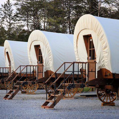 Be A Pioneer: Covered Wagon Camping In Sevierville Tennessee Covered Wagon Camping, Tennessee Glamping, Wagon Camping, Camping Business, Kent Rollins, Covered Wagons, Camping In Tennessee, Shepherd Hut, Green Camping