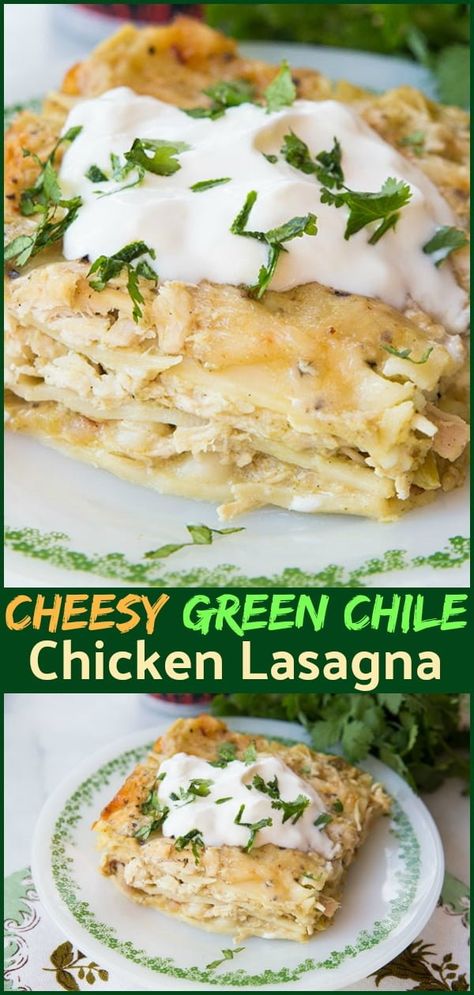 Spicy Green Chili Chicken Lasagna, Cream Cheese Chicken Lasagna, Green Chile Lasagna, Green Chili Chicken Lasagna Recipe, Spicy Chicken Lasagna, Mexican Chicken Lasagna Recipe, Green Chile Chicken Lasagna, Green Lasagna Recipe, Green Chili Lasagna Recipe