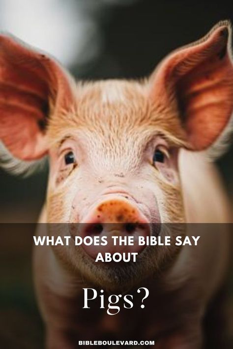 What Does the Bible Say About Pigs? Pig Sayings, Pigs Quote, Best Bible Verses, Bible Study Notebook, The New Testament, Cute Pigs, Old Testament, In A Nutshell, Not Allowed