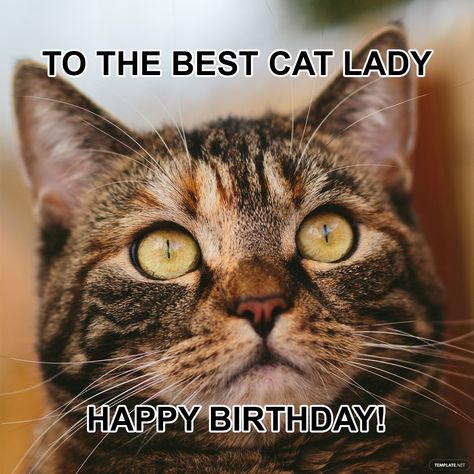 Happy Birthday Cat Meme, Birthday Cat Meme, Happy Birthday Cat Images, Dog Birthday Wishes, Cat Birthday Memes, Happy Birthday Wishes For Her, Cat Birthday Funny, Siberian Cats, Birthday Cat