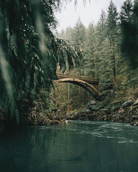 Oregon Aesthetic, Oregon Forest, Bushcraft Camping, Leyte, Forest River, Camping World, Camping Experience, Go Camping, Bushcraft