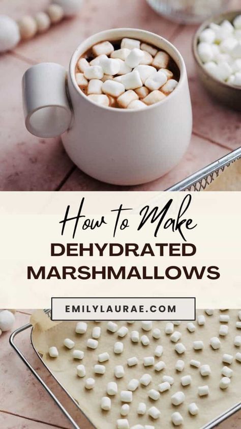 Mini Marshmallows Recipes, Dehydrated Marshmallows, Diy Hot Chocolate Mix, Homemade Cereal, Homemade Hot Chocolate Mix, Diy Hot Cocoa, Diy Hot Chocolate, Cookie Crisp, Food Dehydrator