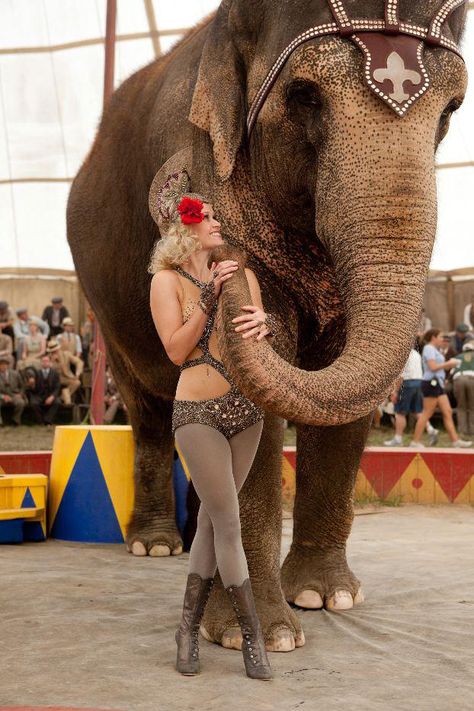 water for elephants Elephant Costumes, Elephants Playing, Water For Elephants, Circus Elephant, Night Circus, Circus Costume, Elephant Love, Circus Party, Vintage Circus