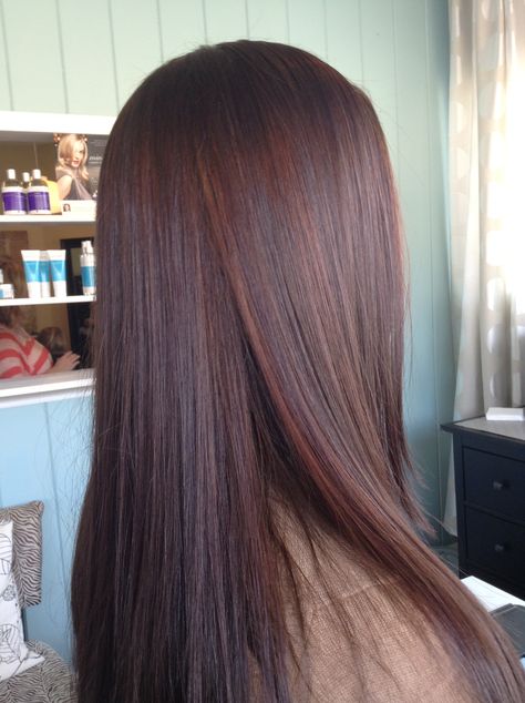 Chocolate Burgundy Hair, Cherry Chocolate Hair, Chocolate Cherry Brown Hair, Chocolate Red Hair, Hair Color Trends For Brunettes, Chocolate Cherry Hair Color, Chocolate Cherry Hair, Cherry Brown Hair, Pelo Color Vino