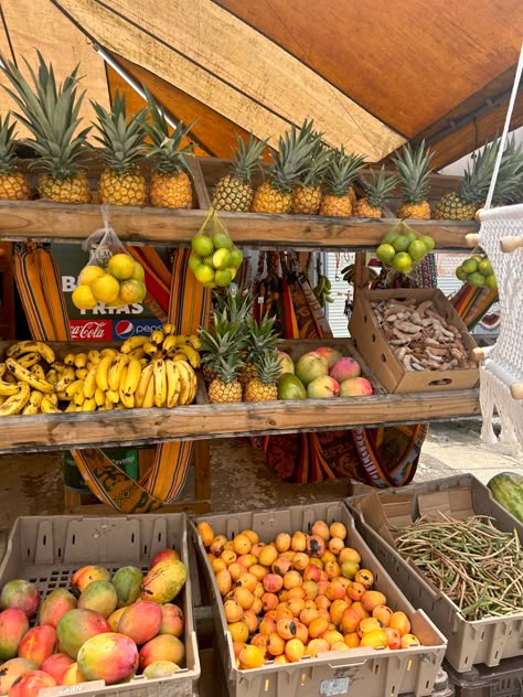 fruits at the beach Tropical Fruits Aesthetic, Fruit On The Beach, Beach Fruit, Fantasy Country, Statement Aesthetic, Tropical Frames, Fruit Love, Tropical Food, Coconut Dream