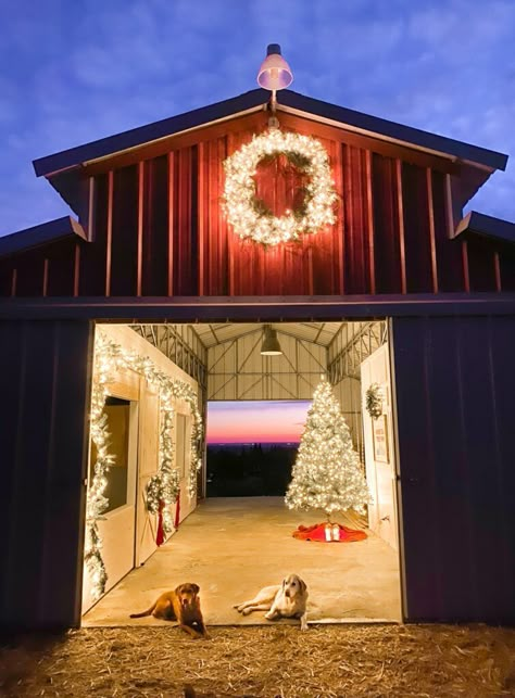 Barn Christmas Decorations, Barn Gym, Thermaland Oaks, Barn Christmas, Holiday Bedroom, Barn Dance, Classic Christmas Tree, Christmas Horses, Christmas Farm