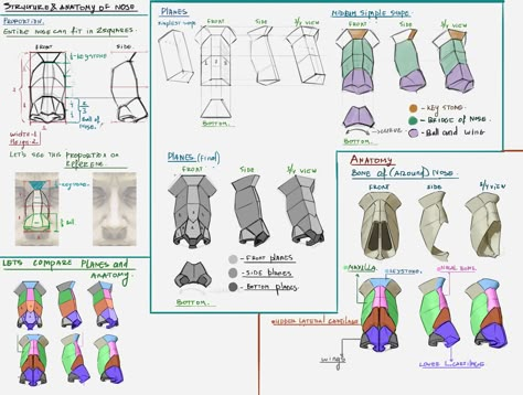 Nose Drawings, Body Planes, Nose Anatomy, Nose Structure, Head Studies, Portrait Drawing Tips, Drawing The Human Head, Head Anatomy, Facial Anatomy