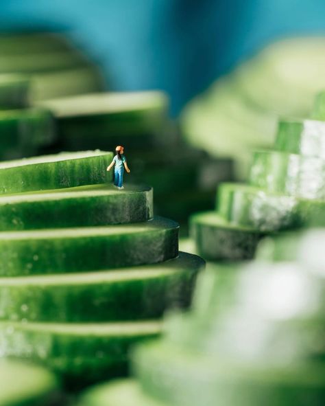 Nothing like strolling through cucumber terraces on a cool morning 🥒😉 Miniatures allow me to travel to places I’ve never been, “real” or imagined. I think that’s one reason humans are drawn to miniaturized things in general; they are an easy portal to imagination. Inside Out Project, Miniature Calendar, Micro Photography, Surrealist Art, Miniature Inspiration, Miniature Photography, Vsco Photography, Object Photography, Creative Photography Techniques