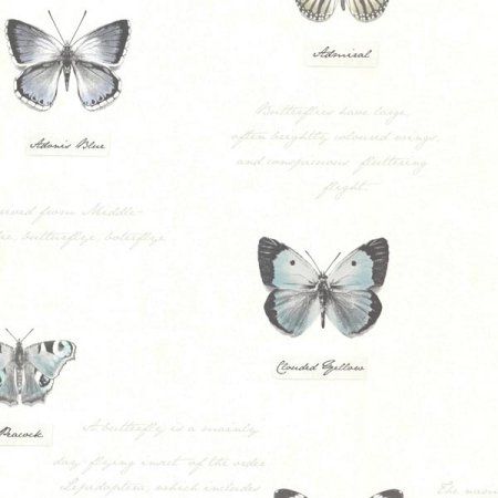 Brewster Admiral Black Butterflies And Script Wallpaper Script Wallpaper, Bath Wallpaper, Matte Black Background, Majestic Landscape, Black Butterflies, Brewster Wallpaper, Silhouette Paper, Bold Wallpaper, Rustic Stone