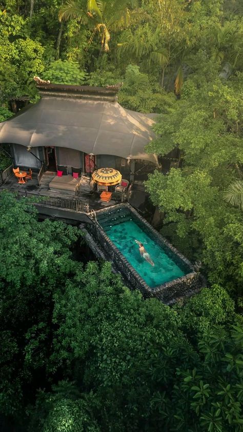 Capella Ubud, Bali (@capellaubud) • Instagram photos and videos Beautiful Rainforest, Ubud Hotels, Tented Camp, Small Villa, Ubud Bali, Ubud, Bangkok, Instagram A, Bali