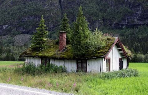 Abandoned House, Norway Style Sod Roof, Green Roof Design, Turf Roof, Norwegian House, Grass Roof, Living Roofs, Eco Architecture, Abandoned House, House Landscape