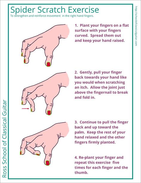 Finger Stretches For Guitar, Guitar Hand Exercises, How To Finger Pick Guitar, Guitar Hands, Bass Guitar Notes, Classical Guitar Lessons, Learn Bass Guitar, Guitar Things, Akordy Gitarowe