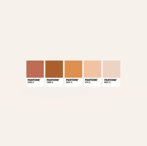 M. Design Co | Graphic Design on Instagram: “Today’s warm and toasty palette is inspired by my several coffees today 🙊On a scale of caramel latte to chai latte, what shade are you…” Coffee Today, M Design, Caramel Latte, Palette Inspiration, Chai Latte, Chai Tea, Colour Palette, Caramel, Shades