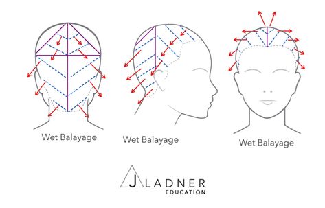 How To Achieve These Top Shades For Summer! - Bangstyle - House of Hair Inspiration Hair Sectioning Diagram, Balayage Hair Application, Balayage Diagram, Balayage Mapping, How To Section Hair For Balayage, Balayage Hair Sectioning, Sectioning For Balayage, Balayage Placement Diagram, Hair Color Placement Diagram