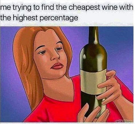 Alcohol Memes, Drunk Memes, Wine Jokes, Drinking Memes, Drunk People, Alcohol Humor, Wine Mom, Cheap Wine, Getting Drunk