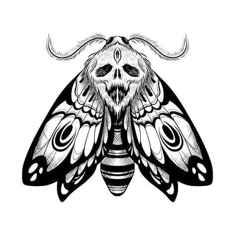 Moth Tattoo Drawing, Moth Line Drawing, Tattoo Png, Moth Drawing, Moth Tattoo Design, Insect Tattoo, Witch Tattoo, Moth Art, Moth Tattoo