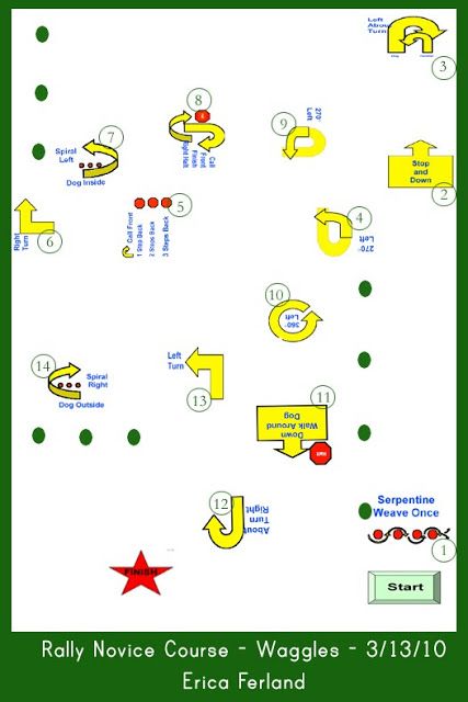 Rally Obedience Course Map Dog Rally Courses, Rally Obedience, Course Design, Dog Training Books, Standard Schnauzer, Dog Sports, Average Joe, Dog Obedience Training, Dog Bed Large