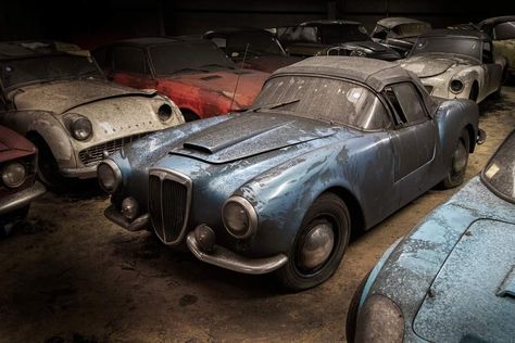 Barn Finds Classic Cars, Car Accessory, Barn Finds, Car Collection, The Times, Classic Car, Holland, Classic Cars, Auction