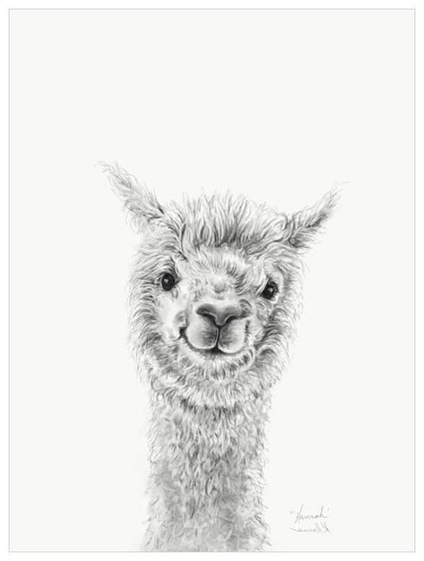 Alpaca Drawing, Llama Drawing, Doodle Canvas, Llama Arts, Animal Sketches, Drawing Artist, Creative Drawing, Inspirational Wall Art, Art Inspiration Drawing