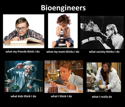 I really don't know what I want to do in the future besides graphic design, but I would like to do Bioengineering in the future, so I can  learn some amazing things that will change the world. Bioengineering Aesthetic, Stem Biology, Biomedical Engineer, Lab Humor, Study Aesthetics, Biomedical Engineering, Writing Classes, Photoshop Tutorial Design, Engineering Student