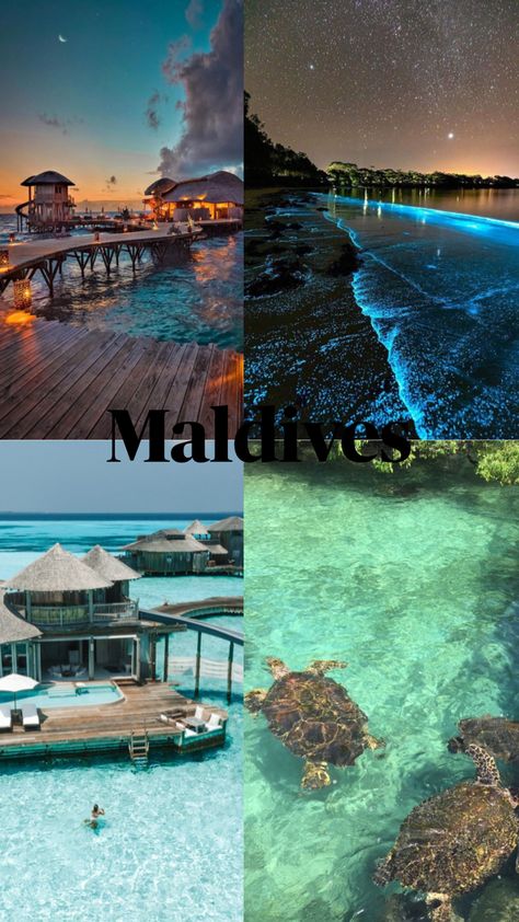 Maldives #maldives #aesthetic #nature Maldives Aesthetic, Holiday Travel Destinations, Dream Honeymoon, Adventure Travel Explore, Travel Inspiration Destinations, Dream Vacations Destinations, Aesthetic Nature, Dream Travel Destinations, Private Jet