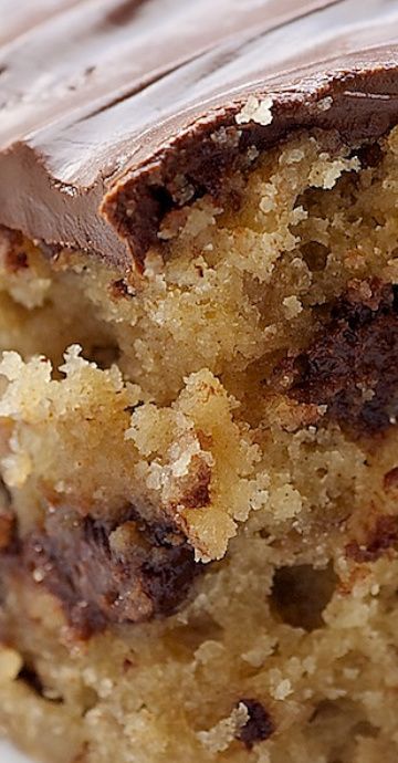 Chocolate Chip Snack Cake is a simple and delicious cake that is quick to mix and easy to love! Chocolate Snacking Cake, Moist Chocolate Chip Cake, Choc Chip Cake, Chocolate Chip Snack Cake, Easy Chocolate Chip Cake, Cake 9x13, Cake With Pecans, Cake With Chocolate Chips, Snack Cake Recipe