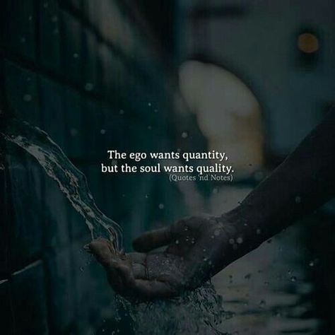 Untitled Quality Over Quantity, Cute Princess, A Quote, The Words, The Soul, The Wall, Quotes, Water, Wall