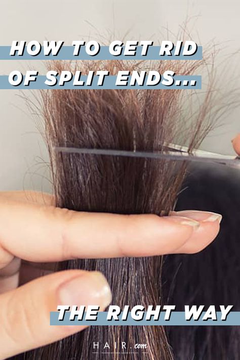 Haircuts For Split Ends, Damaged Ends Repair, Repairing Split Ends, Haircuts To Fix Damaged Hair, Split Ends Repair Homemade, Trim Own Hair Split Ends, How To Help Split Ends, How To Trim Dead Ends At Home, How To Trim Hair At Home Split Ends