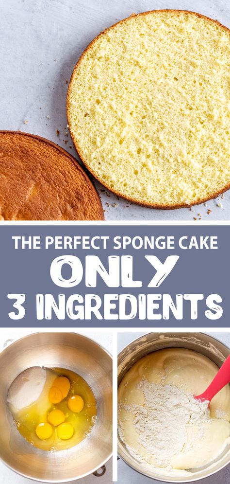 Few Ingredient Cake Recipes, Flour Less Cake, Basic Ingredients For Cake, Box Cake Mix Into Sponge Cake, 3 Ingredient Sponge Cake Recipe, Easy Cake Icing 3 Ingredients, Whisked Sponge Cake Recipe, Small Sponge Cake, How To Make A Easy Cake