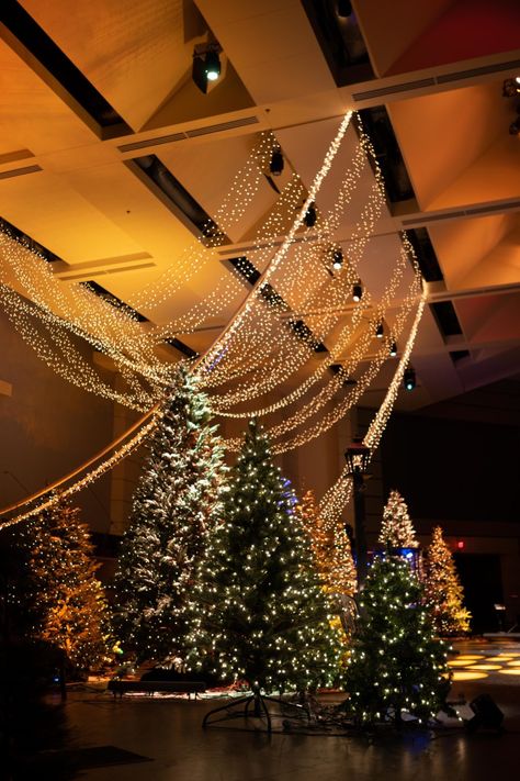 Christmas Banquet Hall Decorations, Christmas Tree Stage Design, Modern Christmas Stage Design, Xmas Stage Decoration, Church Christmas Backdrop Ideas, Christmas Lights Stage Design, Christmas Concert Stage Design, Light Of The World Christmas Decorations, Church Stage Christmas Decorations