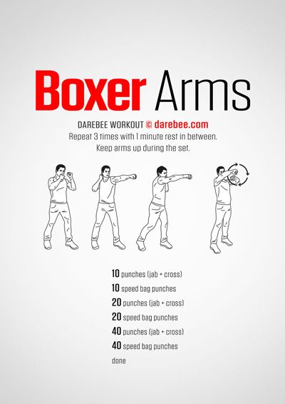 Boxer Arms Workout, Beginner Boxer Workout, Boxer Prime, Boxercise Workout, Punch Workout, Punching Bag Workout, Boxing Workout Routine, Boxer Workout, Boxing Workout Beginner