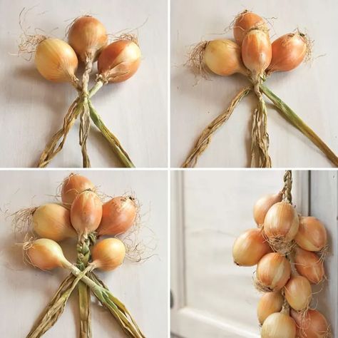 Why You Should Braid Your Onions Like a Pioneer Woman | Kitchn Woman Tips, Vegetable Storage, Garden Harvest, Veg Garden, Garden Edging, Food Garden, Veggie Garden, Growing Food, Farm Gardens