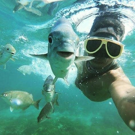 Underwater Vacation Photos, Cute Underwater Pictures, Snorkelling Pics, Underwater Instagram Pictures, Underwater Pics Aesthetic, Underwater Camera Aesthetic, Underwater Photography Aesthetic, Snorkeling Pictures Aesthetic, Under Water Pictures