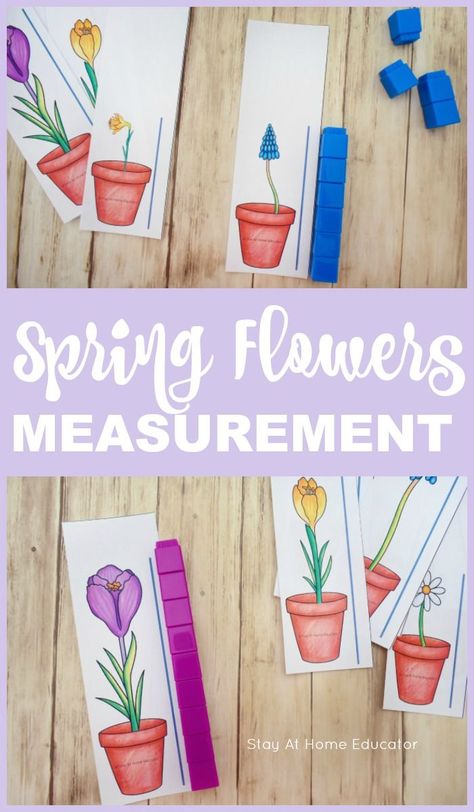 A hands on flower themed measurement printable for preschoolers. This is fantastic for math centers or small group work in the Spring for preschoolers. Free spring theme printable for preschoolers. Teach measurement in preschool with free printable flower height measurement cards. Perfect for gardening theme, flowers theme, or insect theme. Flower Art For Preschool, Spring For Preschoolers, Kindergarten Spring Centers, Spring Math Centers Kindergarten, Preschool Plants, Gardening Preschool, Centers Organization, Centers Preschool, Spring Lesson Plans