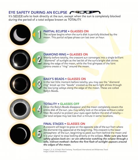 Solar Eclipse Eye Safety Eclipse Facts, Solar Eclipse Activity, Nature Lessons, Eclipse Party, Partial Eclipse, Solar Eclipse Glasses, Solar Eclipse 2017, Path Of Totality, Eye Safety