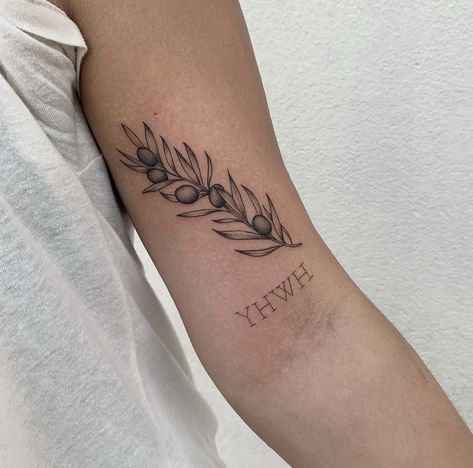 Patchwork Tattoo Ideas Biblical, Christian Botanical Tattoos, Olive Branch Tattoo Shoulder, Christian Vine Tattoo, Christian Patchwork Tattoo Sleeve, Olive Oil Tattoo, Fine Line Olive Branch Tattoo, Christian Patchwork Tattoo, Olive Branch Tattoo Arm Wrap