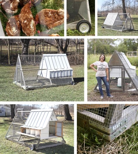 Chicken Compost, Chook House, Chook Pen, A Frame Chicken Coop, Portable Chicken Coop, Backyard Chicken Coop Plans, Chicken Tractors, Chicken Owner, Chicken Tractor