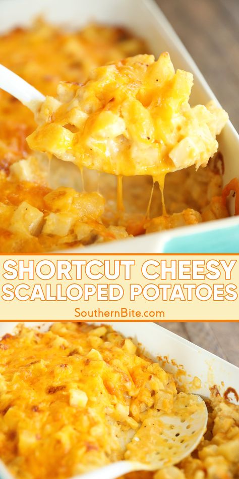 Whip up these Shortcut Cheesy Scalloped Potatoes with a time-saving twist—using frozen diced hash browns! This easy side dish is perfect for busy weeknights or special occasions. Quick, comforting, and loaded with flavor, this recipe is sure to be a family favorite. 

#ScallopedPotatoes #HashBrownRecipes #EasySideDishes #ComfortFood #CheesyPotatoes #QuickRecipes #FamilyMeals Easy Cheesy Potato Gratin, Large Batch Cheesy Potatoes, Good Easy Sides For Dinner, Cheesy Potatoes With Frozen Hashbrowns, Potatoe Casserole Recipes Scalloped, Side Dishes Using Potatoes, Quick Potato Recipes Side Dishes, Side Dishes Pork Chops, Best Cheesy Potato Casserole