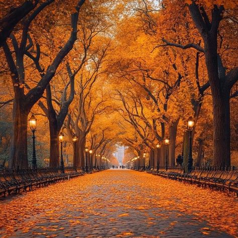 Wallpaper Horizontal, Fall Scenes, Autumn Scenery, Aesthetic Pics, Autumn Vibes, Photography Camera, Fall Decorating, Autumn Aesthetic, Landscape Wallpaper