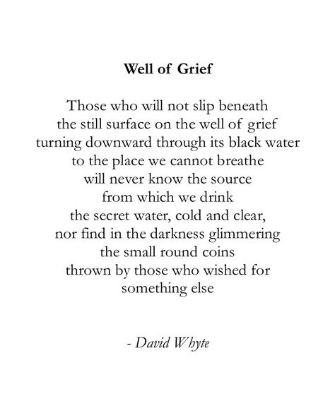 The Well of Grief. David Whyte. David Whyte Poetry, David Whyte Quotes, David Whyte Poems, David Whyte, Prose Poetry, Do Something Different, Louise Hay, Architecture Quotes, Education Humor