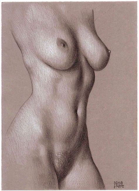 Painting Of Female Anatomy, Hot Drawings On Paper, Womens Anatomy Drawing, Art Reference Pencil, Art Sketches Women Body Drawing, Womans Body Sketches, Women Sketches Pencil, Womens Silhouette Drawing, Grey Paper Drawing