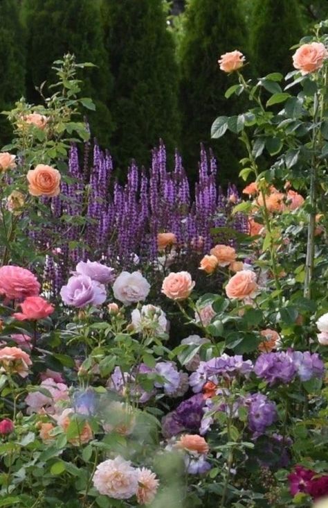 English Garden Roses, Beautiful Gardens Magical, Cottage Garden Inspiration, Garden Design Cottage, When To Start Seeds Indoors, When To Start Seeds, English Flower Garden, Cottage Garden Borders, Start Seeds Indoors