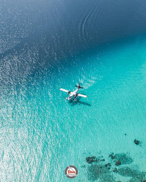 Trans Maldivian Airways’s Instagram profile post: “Chasing your dream of traveling with us. #transmaldivian #seaplane #aviationlovers #maldives” Seaplane Maldives, Sea Plane, Chase Your Dreams, Maldives, Your Dream, Travel Destinations, Dreaming Of You, Instagram Profile, Water