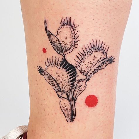 𝗘𝗿𝗶𝗸𝗮 𝗩𝗲𝗻𝗱𝗲𝘁𝘁 𝗜𝗻𝗸 on Instagram: “A Dionaea Muscipula aka Venus Flytrap for Alexa. Reallllly loved doing this one. 🥰 Books for March opening soon. I have a spot this coming…” Unique Bug Tattoo, Tattoo Venus Fly Trap, Thorn Flower Tattoo, Venus Fly Trap Tattoos, Horticulture Tattoo, Venus Fly Trap Tattoo Black And White, Sundew Tattoo, Venus Flytrap Art, Venus Flytrap Drawing