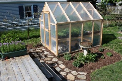 6x8 Greenhouse, Simple Greenhouse, Conservatory Ideas, Diy Jardin, Build A Greenhouse, Home Greenhouse, Greenhouse Ideas, Plants Growing, Backyard Greenhouse