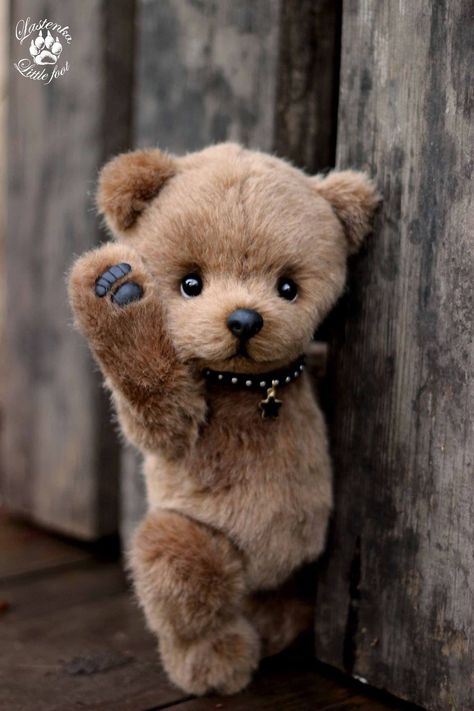 Teddy Pictures, Teddy Bear Images, Teddy Day, Teddy Bear Wallpaper, Slaap Lekker, Teddy Bear Pictures, Teddy Bear Doll, Teddy Bear Collection, Bear Pictures