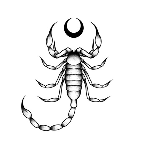 Scorpion Tattoo Design, Wicca Tattoo, Between Breast Tattoo, Tattoo Lower Back, Scorpio Zodiac Tattoos, Desenhos Old School, Atlas Tattoo, Small Back Tattoos, Tatuagem Masculina Pequena