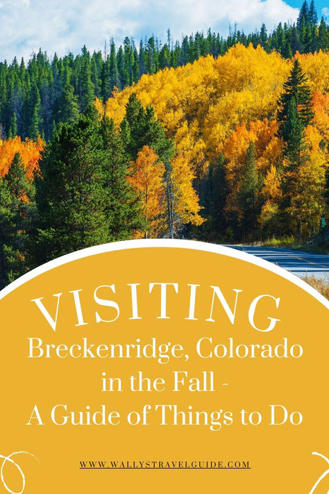 Yellow aspen trees in the fall in Colorado Fall In Breckenridge Colorado, Things To Do In Breckenridge Colorado Fall, Fall Hikes Colorado, Things To Do In Breckenridge Colorado, Breckenridge Colorado Fall, Colorado In The Fall, Fall In Colorado, Mountain Lodges, Fun Trips