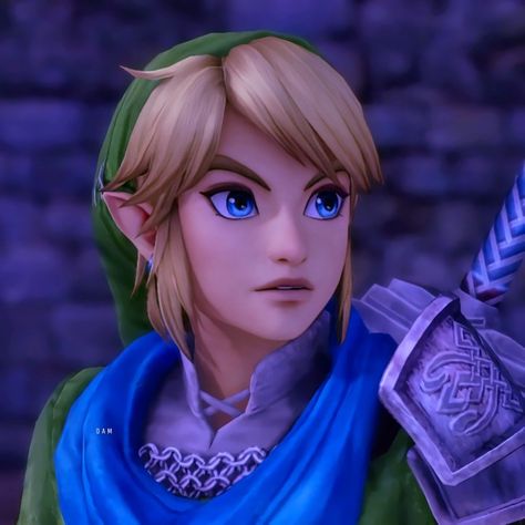 Link Profile Picture, Link Hyrule Warriors, Legend Of Zelda Pfp, Hyrule Warriors Definitive Edition, Link Pfp, Hyrule Warriors Link, Link Loz, Link Icon, Zelda Hyrule Warriors