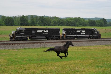 Train Tracks Photography, Southern Trains, I Love Horses, Train Posters, Scenic Railroads, Railroad Pictures, Love Horses, Rail Transport, Southern Railways